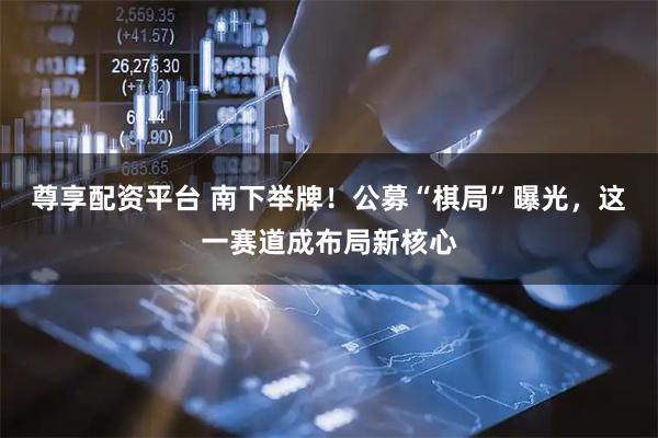 尊享配资平台 南下举牌！公募“棋局”曝光，这一赛道成布局新核心