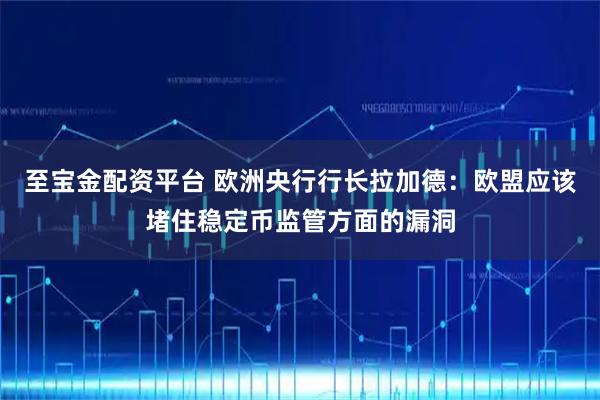 至宝金配资平台 欧洲央行行长拉加德：欧盟应该堵住稳定币监管方面的漏洞