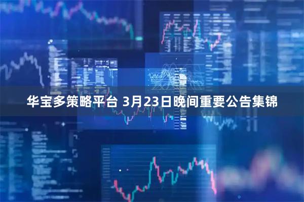 华宝多策略平台 3月23日晚间重要公告集锦